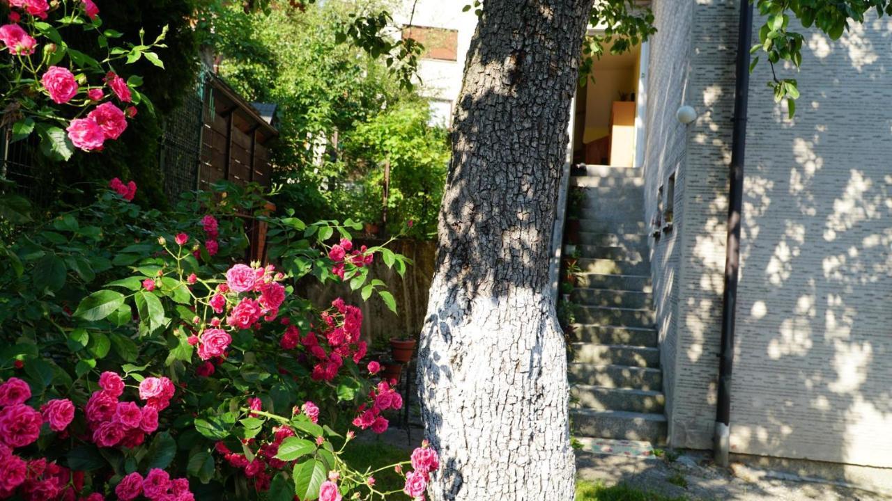 Hedgehog'S Home - Jezeva Kucica Free Parking Saraievo Exterior foto