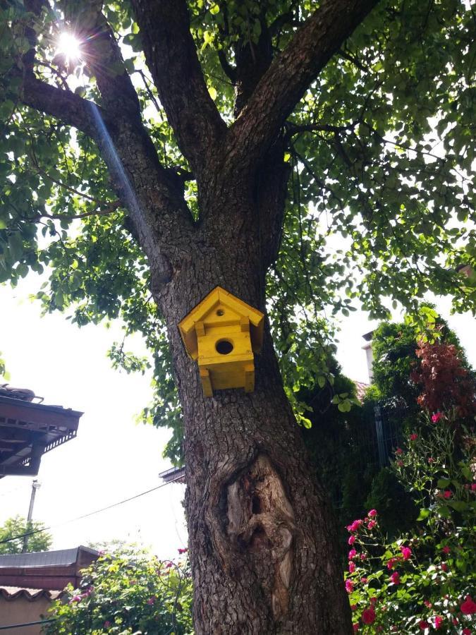 Hedgehog'S Home - Jezeva Kucica Free Parking Saraievo Exterior foto